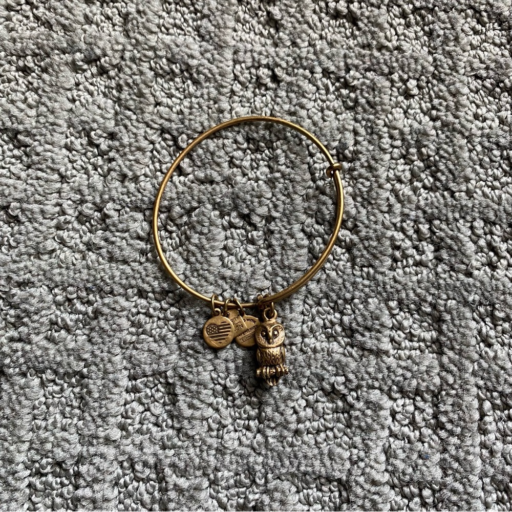 Alex and Ani Ode to the Owl Charm Bracelet